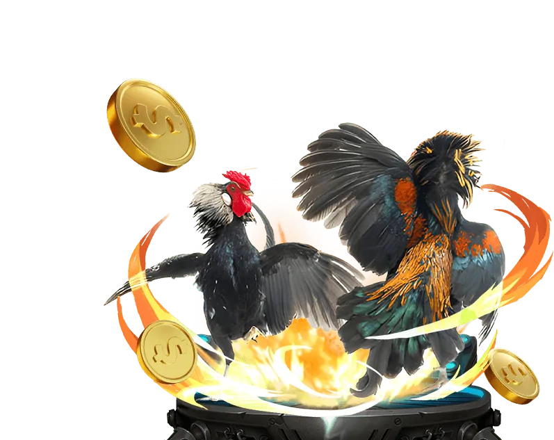 Giải đấu thể thao hàng tuần